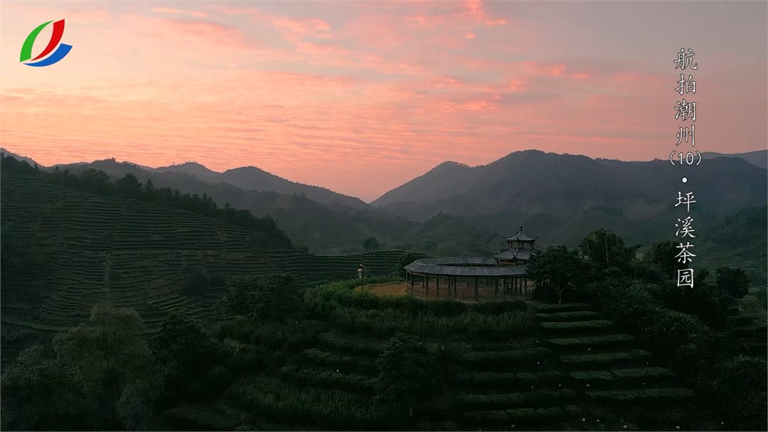 第10期坪溪茶园