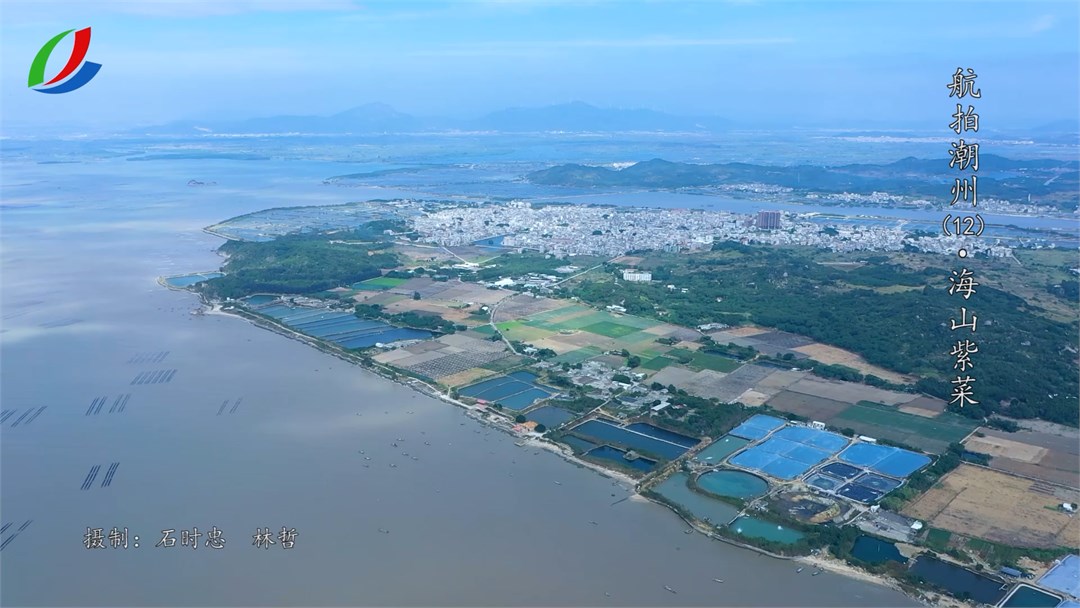 第12期海山紫菜