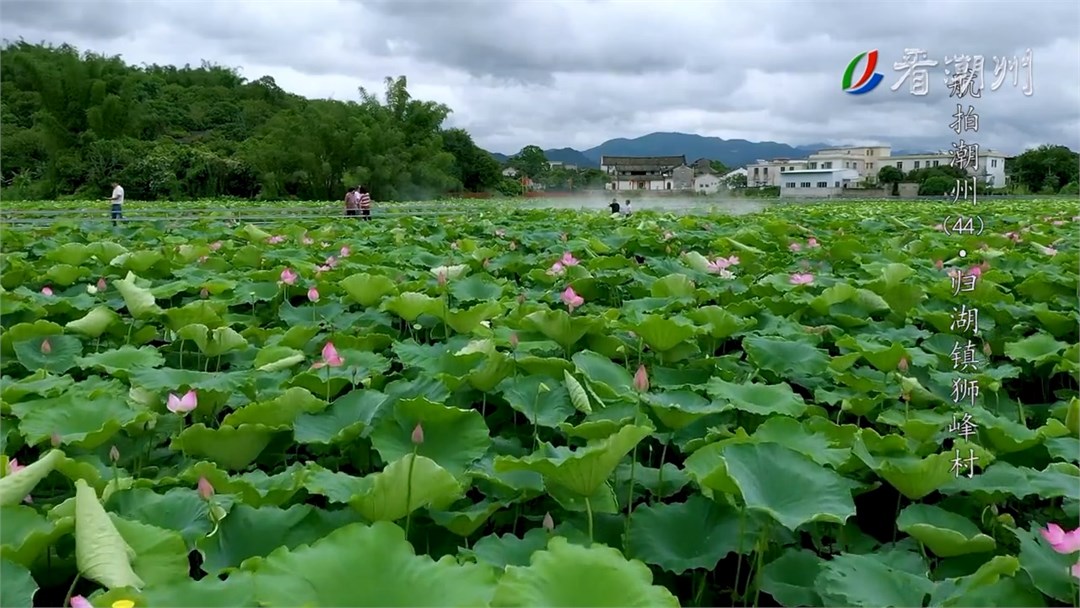 第44集归湖镇狮峰村