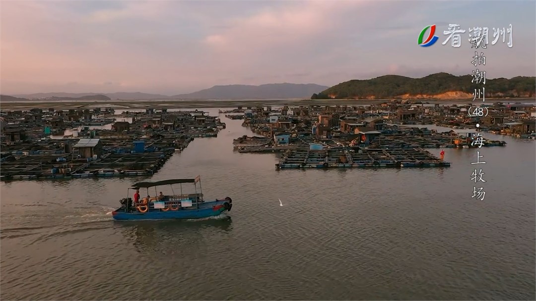 《航拍潮州》第48集 海上牧场