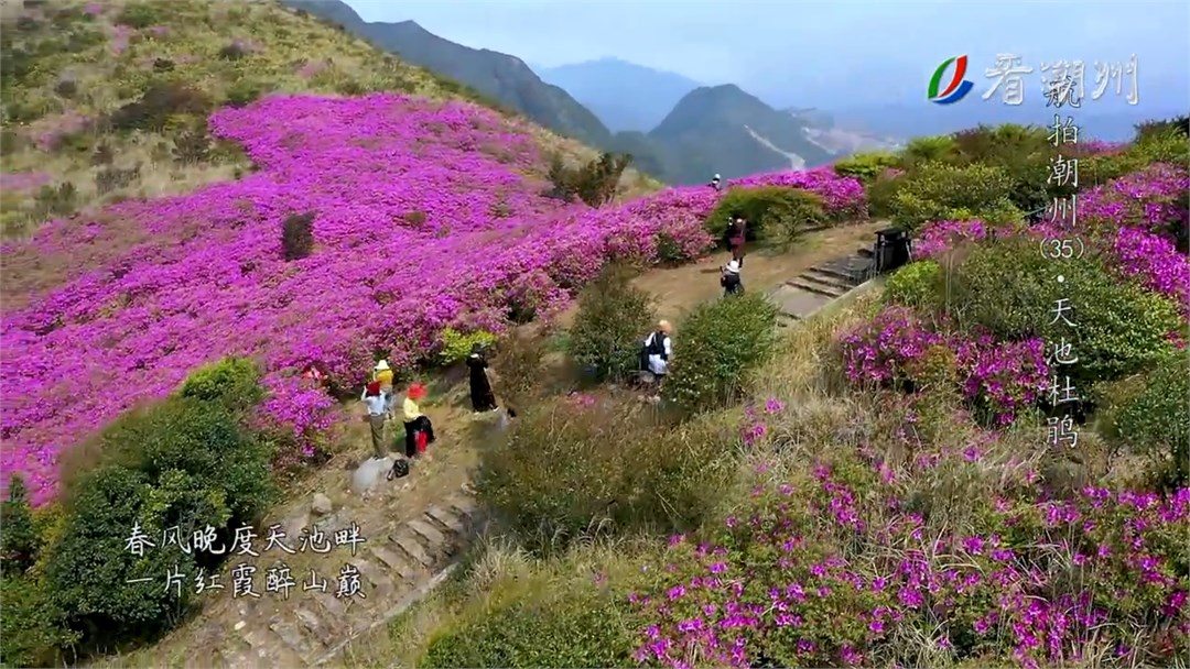 《航拍潮州》第35集 天池杜鹃