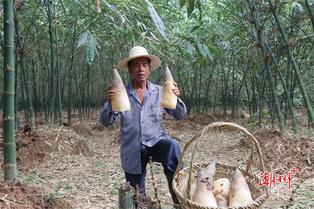 丰饶食材成就“潮州好味道”2.jpg