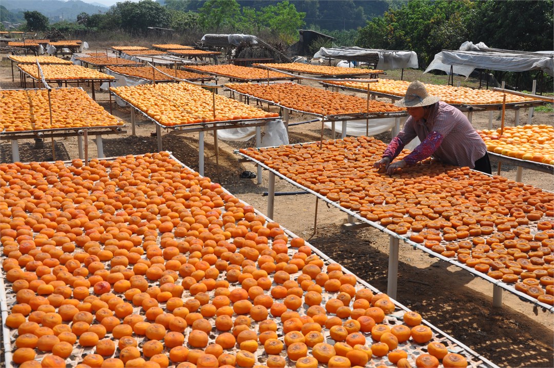 Dried persimmon